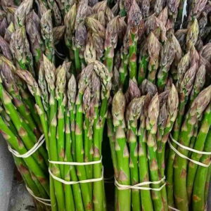 FRESH ASPARAGUS BUNCH