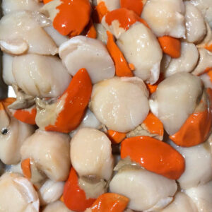 fresh king scallops