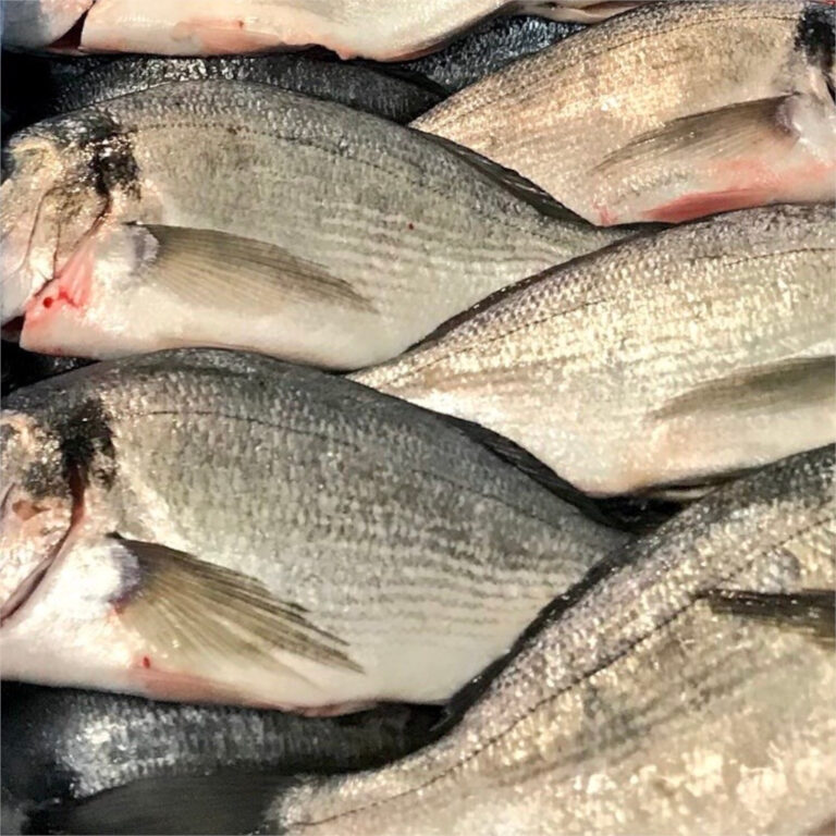 FRESH WHOLE FARMED DORADE /SEA BREAM (*400;600G) Out of the Blue