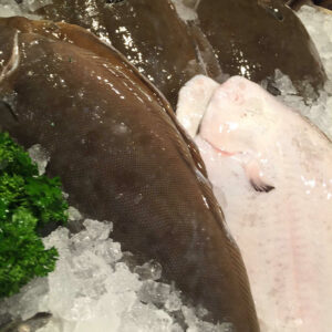 fresh whole dover sole