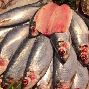 FRESH WHOLE HERRINGS (*150-300G)