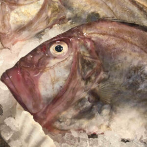 john dory