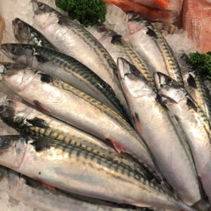 cornish mackerel