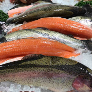 rainbow trout fillet