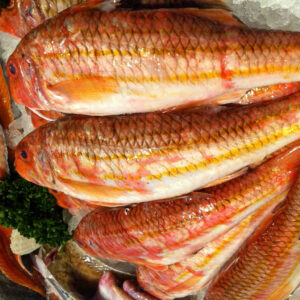 cornish red mullet